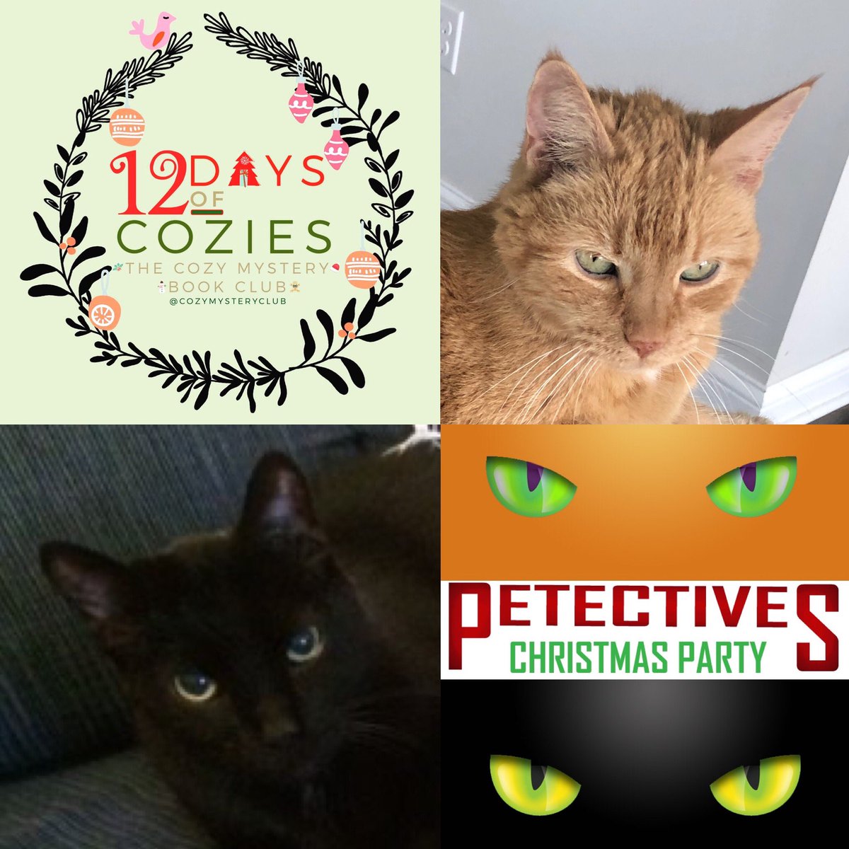 Petectives's tweet photo. What do Yoshi and Gatsby think of Christmas? Find out in their blog post for #12daysofcozies! Click here - https://t.co/JIU3a9Y44N. #petectives #christmas #cats #catsoftwitter #mystery https://t.co/N2uaGsEXEF