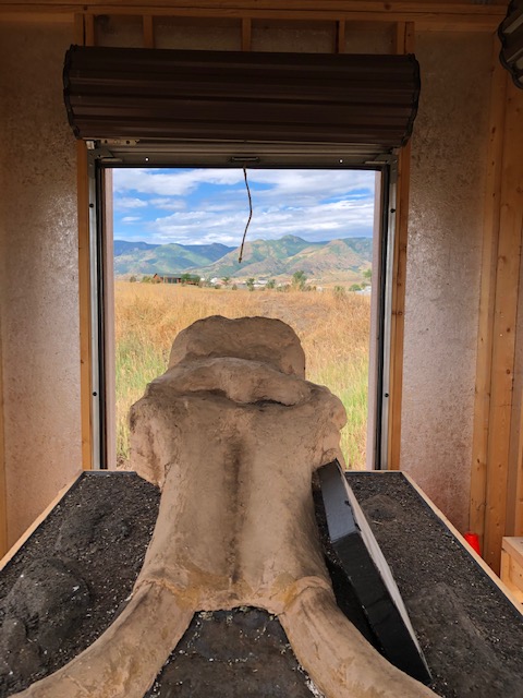 LambSpringAP's tweet photo. Lamb Spring is home to over 30 Colombian Mammoth, Ice Age camels, horses, sloths, llamas, and wolves.  Any support will help us continue our efforts to discover, interpret, and educate the unique history beneath our feet. Website in Bio.
@douglascountyco @Colorado @visitdenver https://t.co/oIFkdKjvMt