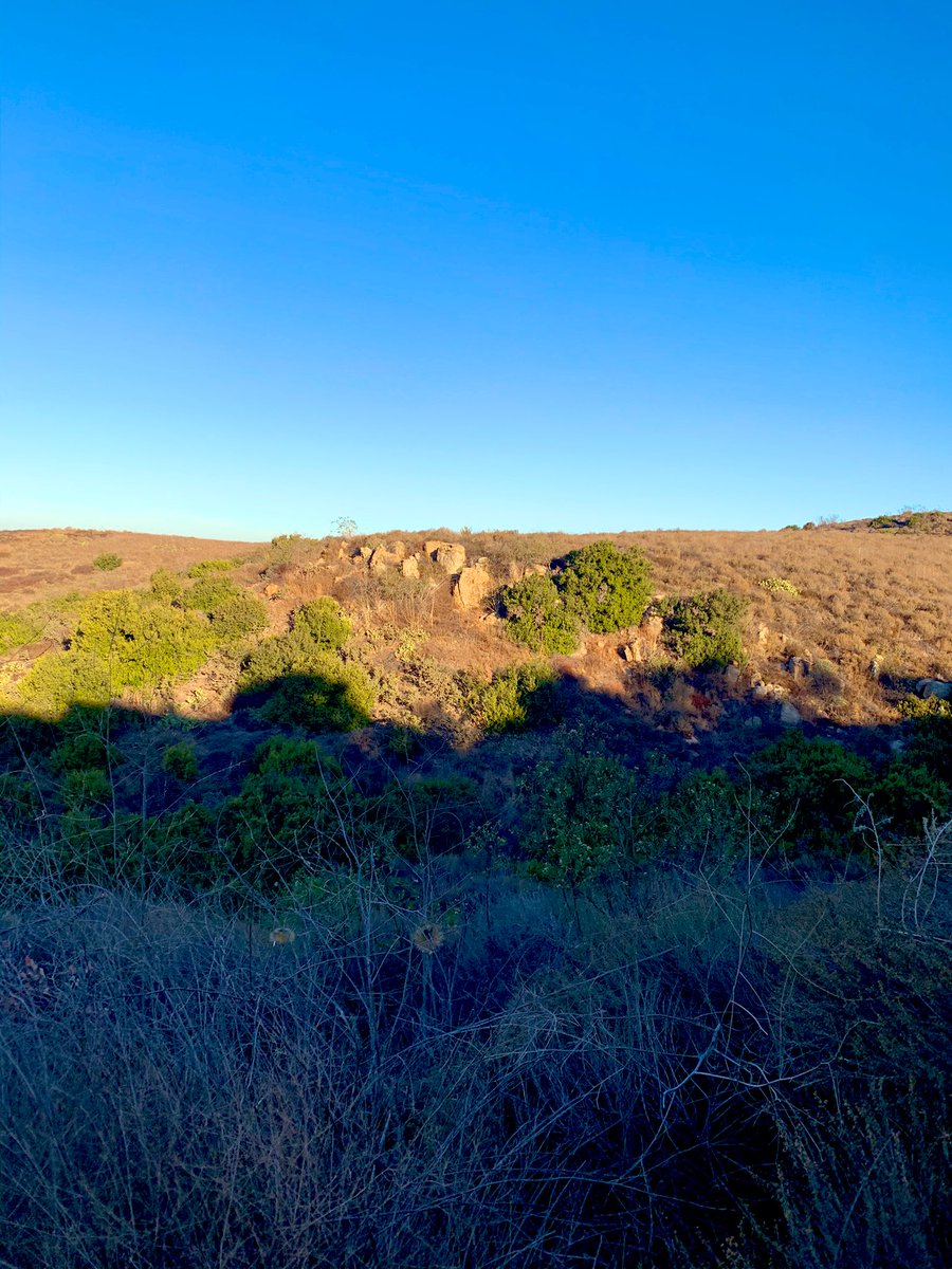 A scattering of rocks on the side of a hill. It’s early morning so the foreground of the picture is in the shade, and the sun is shining on the rocks in the distance. The sky is hella blue and clear.