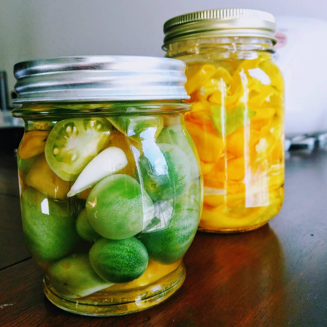 Who's putting up food for winter? ❄️ "Pickled #greentomatoes, and another batch of #fermented peppers destined for #hotsauce."🔥 📸:cantorasgarden

🌿 Grow new &amp; exciting varieties!
🤩 Become a member of the Monthly Seed Club
👉urbanorganicgardener.cratejoy.com