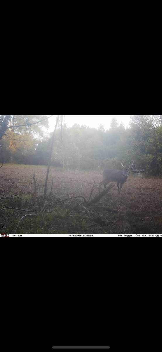 Happylandhunt's tweet photo. Good job  @Hayden_Varner on harvesting a nice one @Happylandhunt https://t.co/bXkImJvXrt