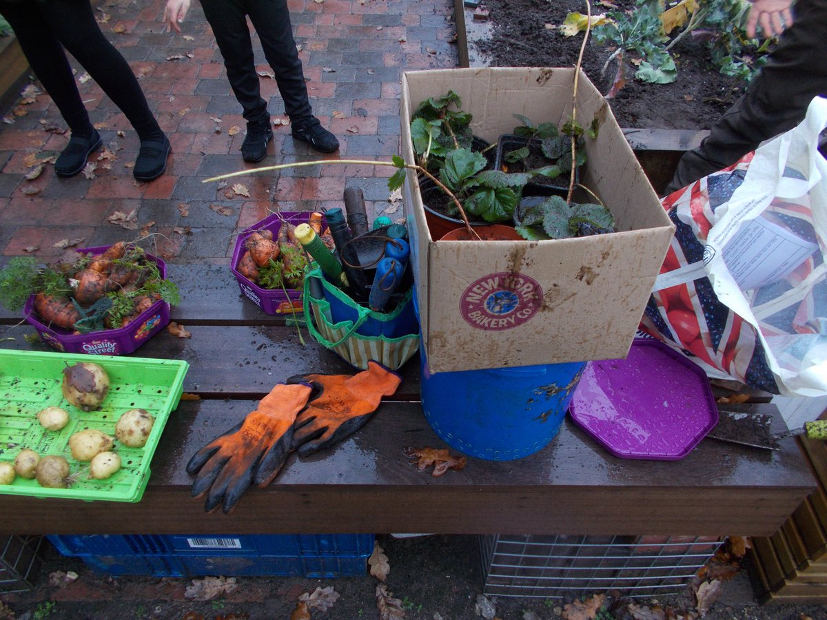 WHFGarden's tweet photo. This week at Rutley Grove Community Garden

A brilliant 2nd crop of spuds 🥔 
Some amazing carrots 🥕 
Kale leaves 🥬 
Strawberry plants 🍓 harvested by the Resource Base class at @WHF_School - shared between the school kitchen &amp; the children to take home💚

#CommunityGardening https://t.co/TXkcnsfSO8