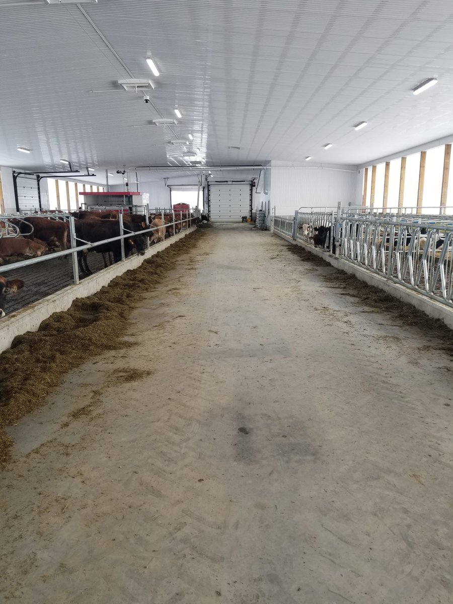 CanarmAgSystems's tweet photo. Another @Avonbank_Ag project!
Kupercrown Farm owned by Albert & Lyn Kuper in Moorefield, ON. They moved into the barn 2 weeks ago! Canarm AgSystems #freestalls with comfy curve headrail, #feedfronts, #gates, #waterers & #bootwash.
#dairy #dairybarn #barnlife #IAMCANARM #jerseycow https://t.co/FGhJQAnAkM