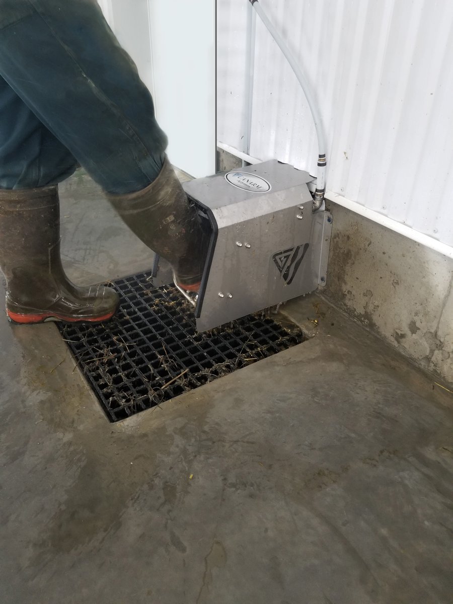 CanarmAgSystems's tweet photo. Another @Avonbank_Ag project!
Kupercrown Farm owned by Albert & Lyn Kuper in Moorefield, ON. They moved into the barn 2 weeks ago! Canarm AgSystems #freestalls with comfy curve headrail, #feedfronts, #gates, #waterers & #bootwash.
#dairy #dairybarn #barnlife #IAMCANARM #jerseycow https://t.co/FGhJQAnAkM
