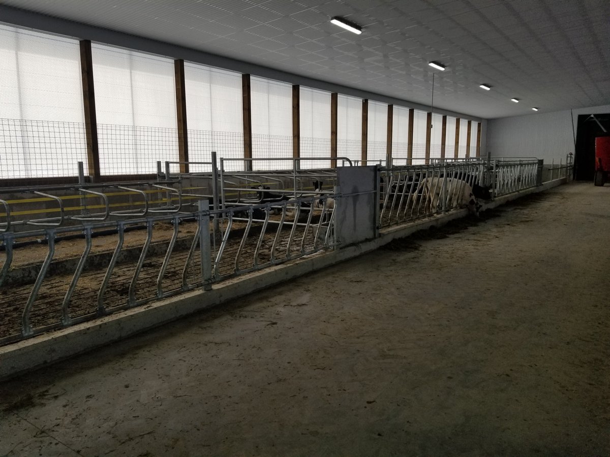 CanarmAgSystems's tweet photo. Another @Avonbank_Ag project!
Kupercrown Farm owned by Albert & Lyn Kuper in Moorefield, ON. They moved into the barn 2 weeks ago! Canarm AgSystems #freestalls with comfy curve headrail, #feedfronts, #gates, #waterers & #bootwash.
#dairy #dairybarn #barnlife #IAMCANARM #jerseycow https://t.co/FGhJQAnAkM