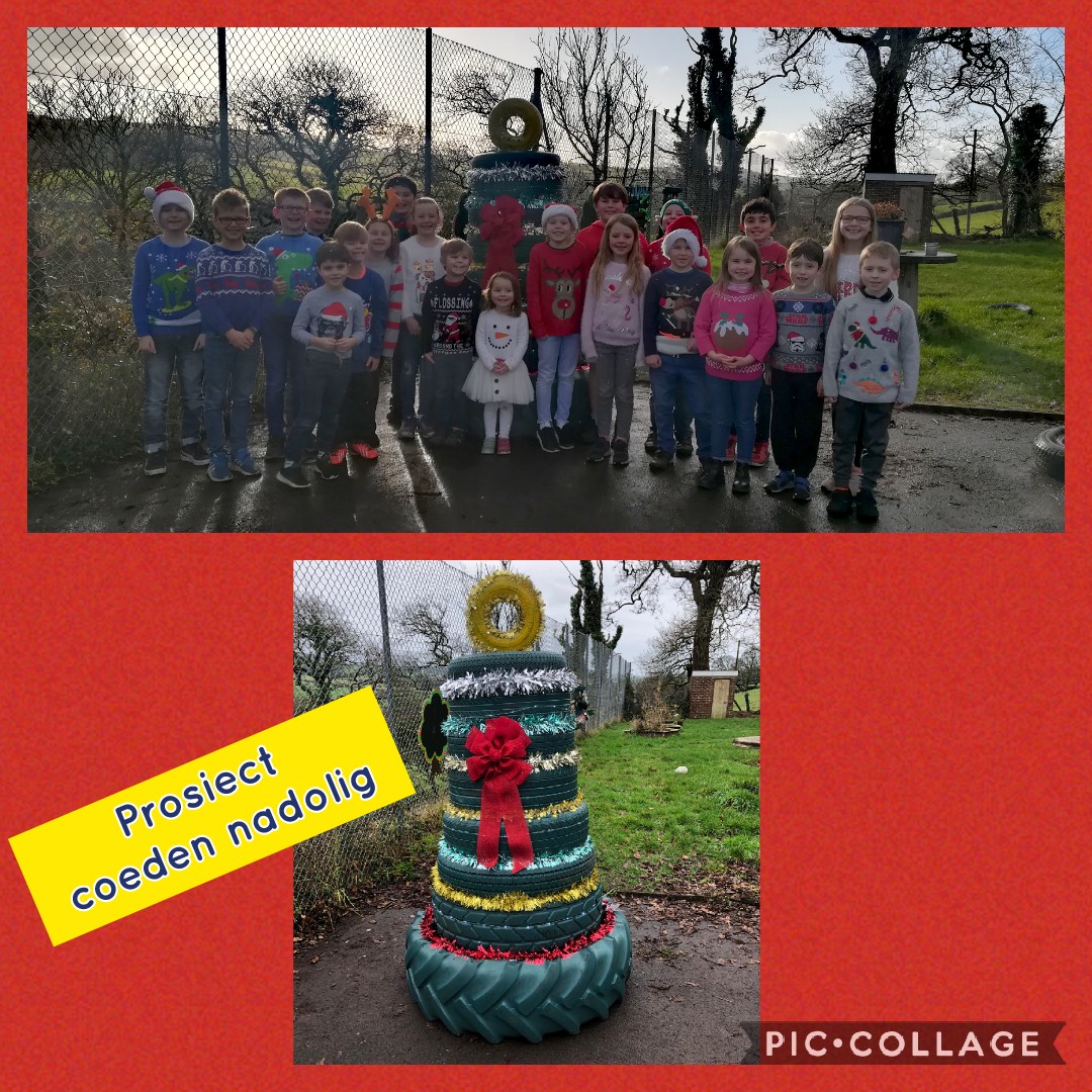 ysgolyfro's tweet photo. Prosiect coeden nadolig @EcoSchoolsWales @ysgolawyragored https://t.co/kNRYf66r02