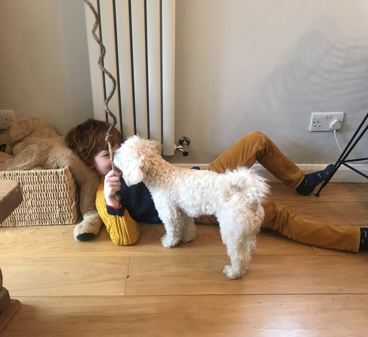 Stephanie44win's tweet photo. We home educate so my autistic son has full and consistent access to the tools he needs for self-regulation, and so he never has to choose between happiness and learning. #FairHearing4HomeEd @CommonsEd https://t.co/jjVPsolipB