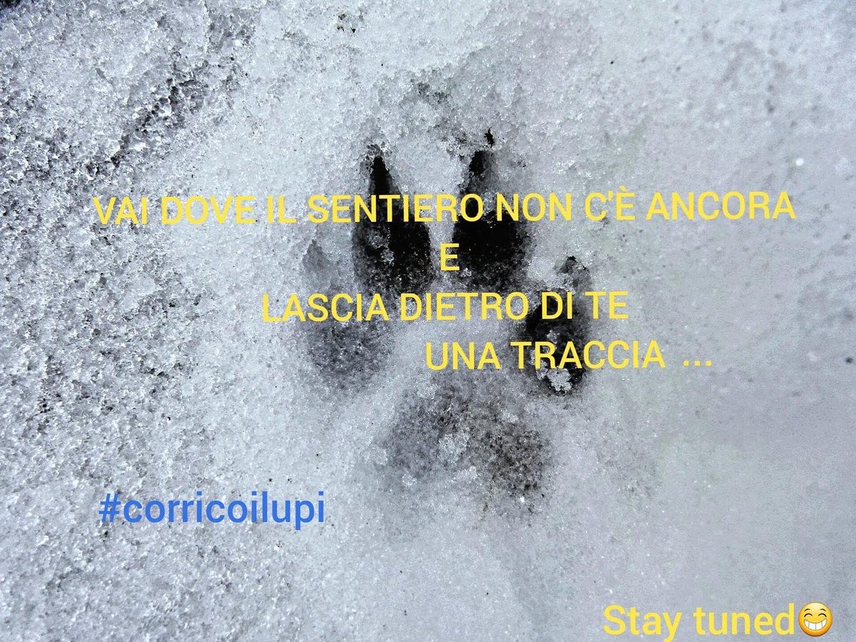 RunTweetTeam's tweet image. #iocorrocoilupi prossimamente tutte le info sul tesseramento #fidal e supporter 2021
#StayTuned #nelsegnodelbranco