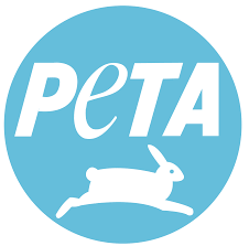 DianeRay1's tweet photo. If you missed Victoria Moran and Main Street Vegan this week you can get the #podcast here https://t.co/xXQkOekXrd Victoria spoke with legendary founder of PETA Ingrid Newkirk on why animals matter. Listen now! #unityonlineradio #vegan #PETA #veganism https://t.co/JcW4Hs1xRw