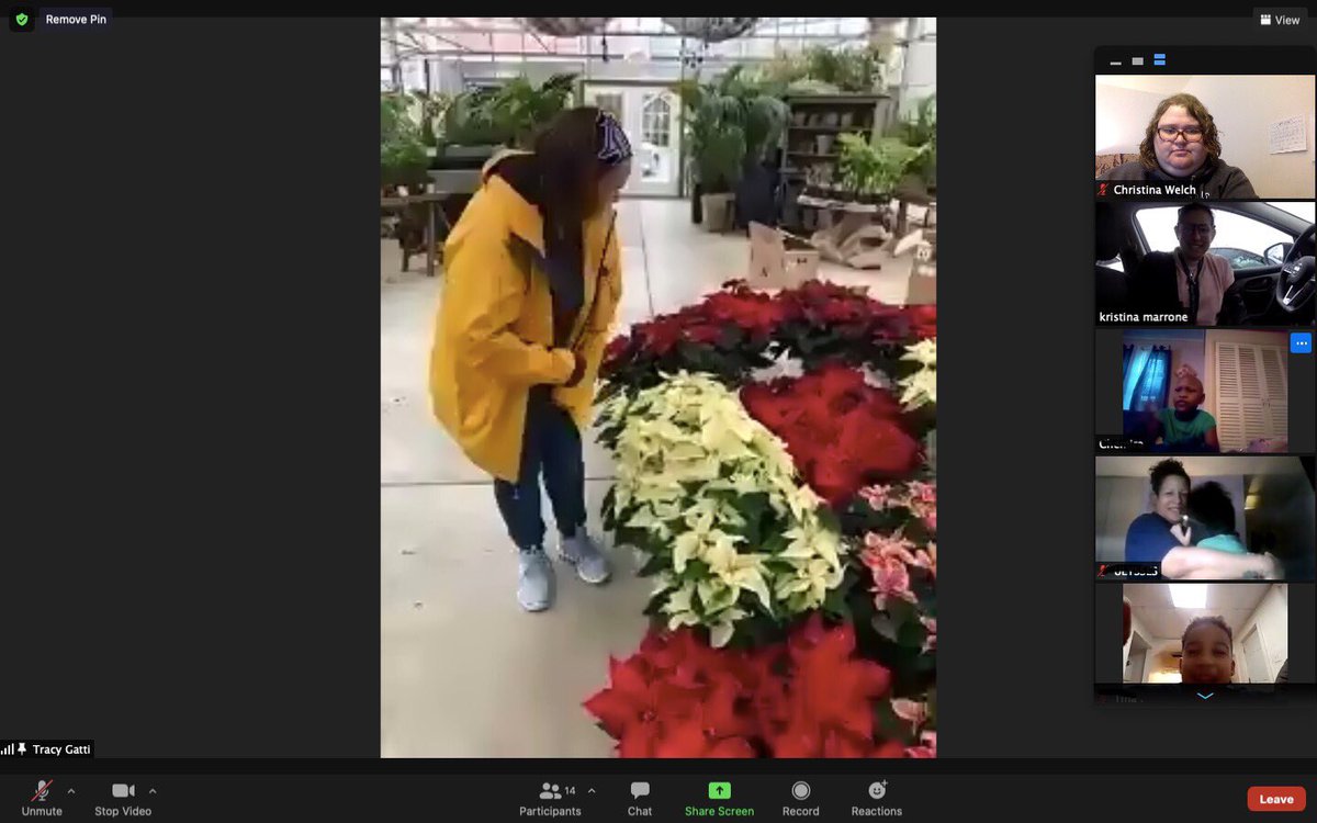 Kristina Marrone tweet media