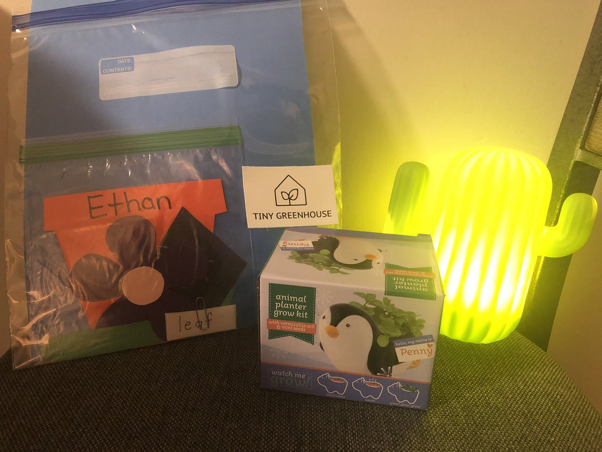 Kristina Marrone tweet media