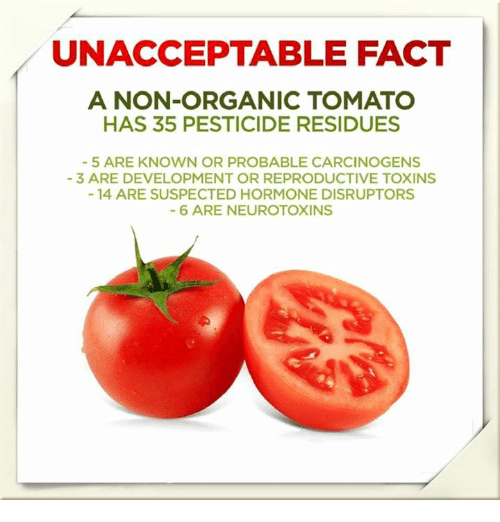 Eating #organic food can lower the level of #pesticides/#herbicides by 89%: seattleorganicrestaurants.com/vegan-whole-fo… Organophosphate #pesticides could interfere with healthy #neurological development causing…