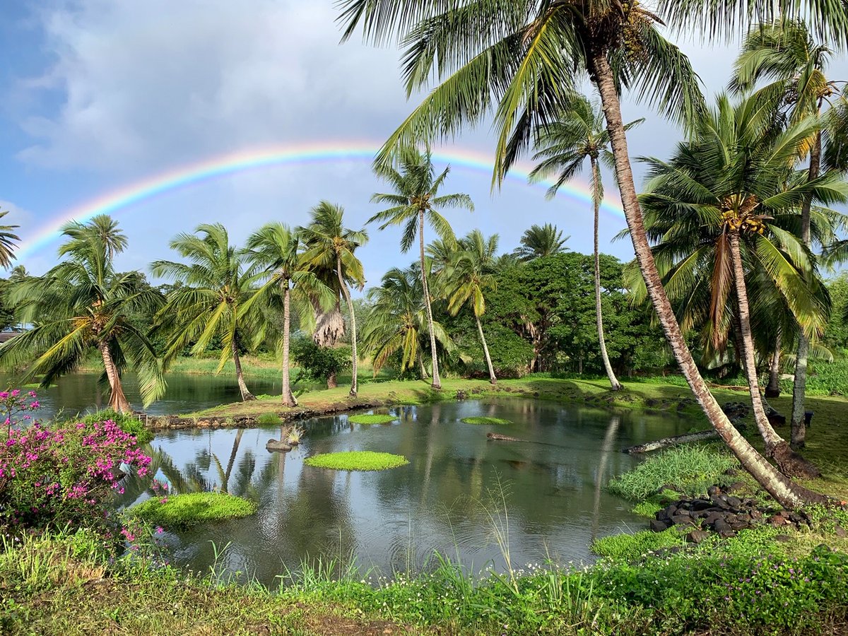 These fishponds—loko iʻa in the Hawaiian language—are a highly sustainable method of raising fish. Naturally growing algae provides unlimited fish food, and the ponds require little active maintenance or management.