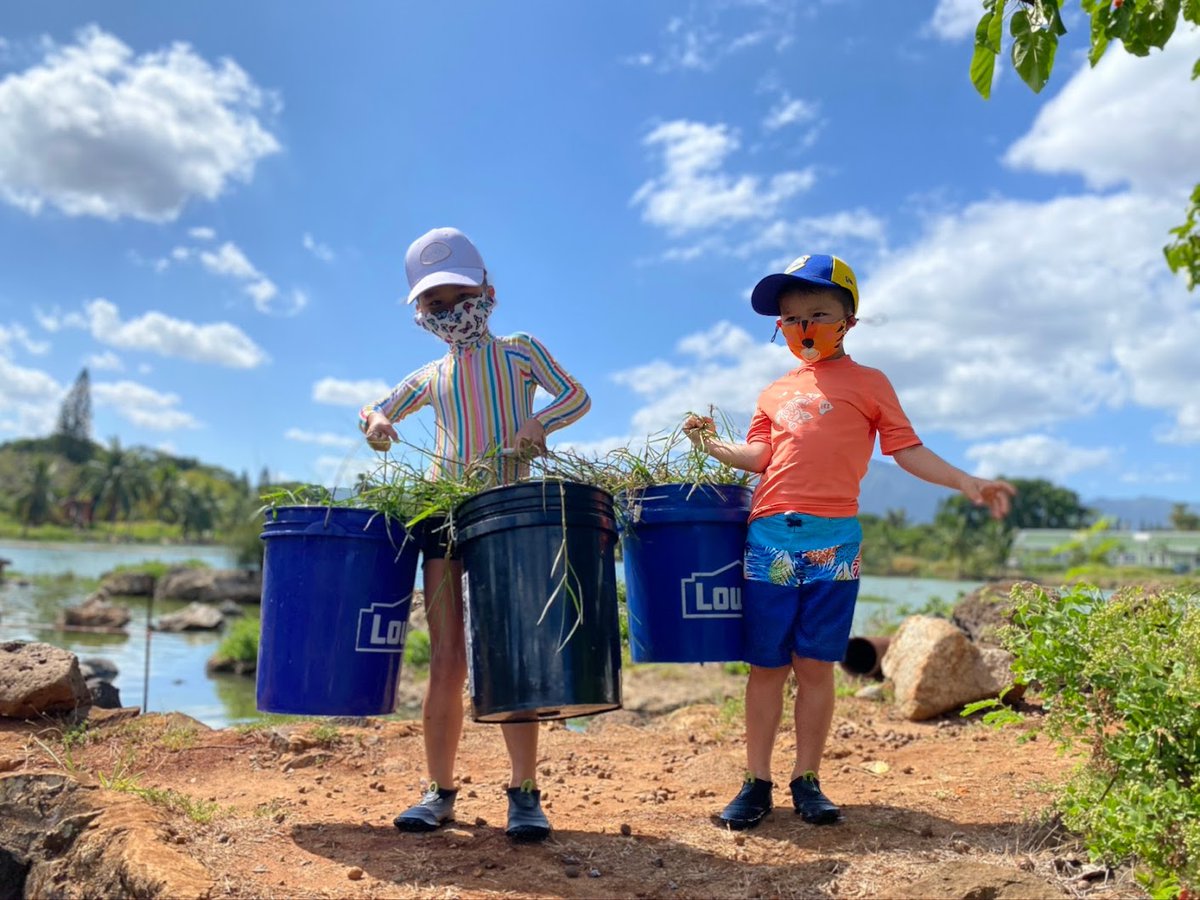 Community advocates are now working to get 60 fishponds fully operational, restoring and improving them with modern technology, in a bid to increase food sovereignty for Hawaii’s residents.