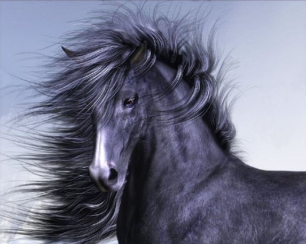 07DOSK's tweet image. لا تنبش أحـزاني، لا توقظ الميت الأول فتستيقظ المقبرة. لقد أنفقت -حُــزنًا كثيرًا لكي أقنعهم بالموت.