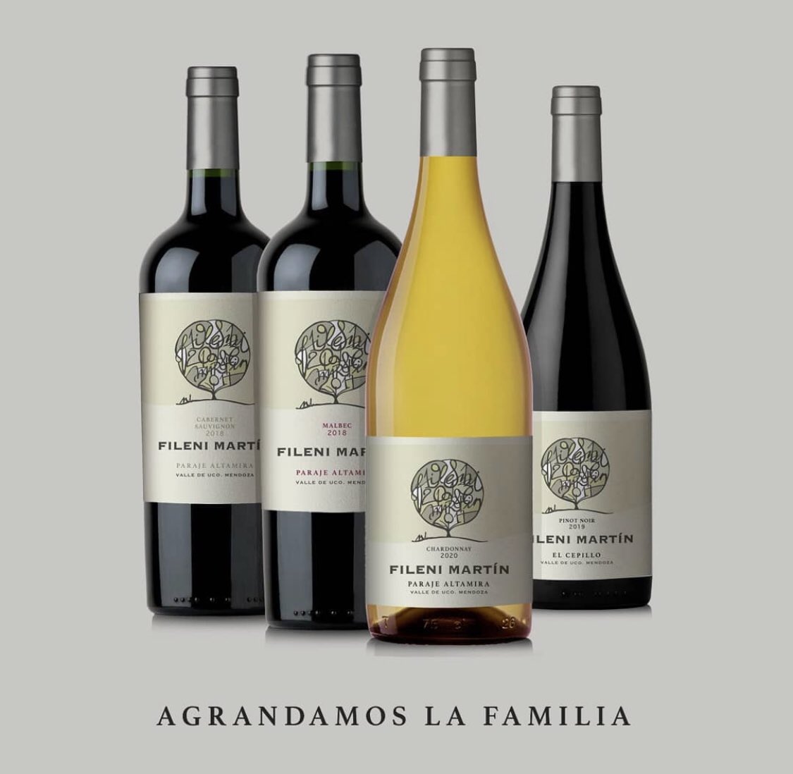 Aurea Vinos (@aureavinos) on Twitter photo #AUREAStyle \ Bienvenido Fileni Martín #Chardonnay 2020 al portfolio de <a href="/aureavinos/">Aurea Vinos</a>! #ParajeAltamira! #AUREAStyle \ Bienvenido Fileni Martín #Chardonnay 2020 al portfolio de <a href="/aureavinos/">Aurea Vinos</a>! #ParajeAltamira!