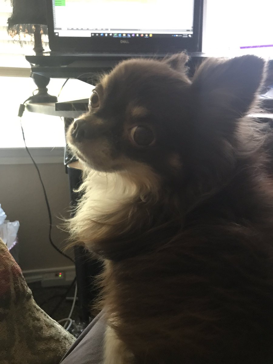 EricaTalksTooMuch🎃 tweet media