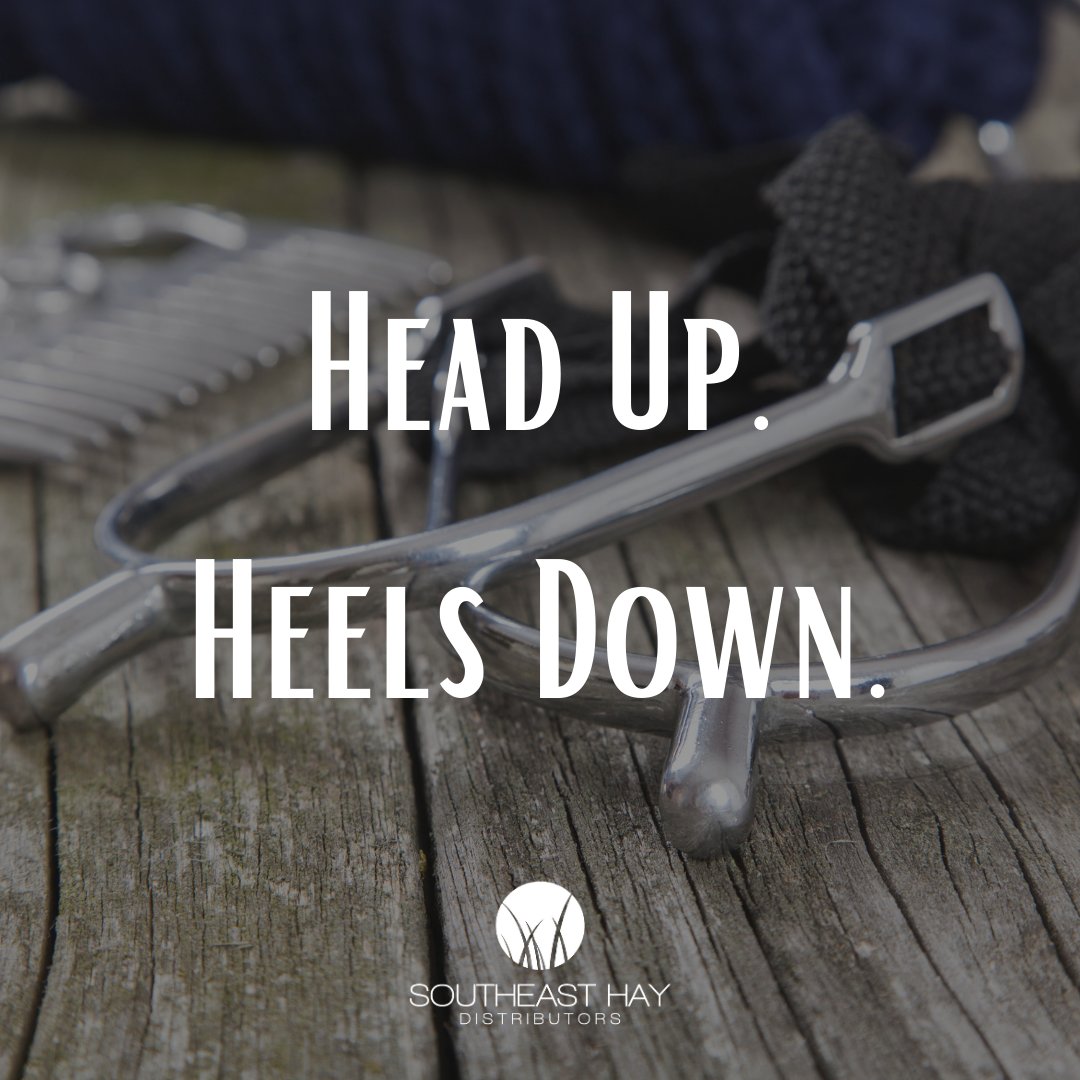 Here's to a weekend full of horses! 🙌