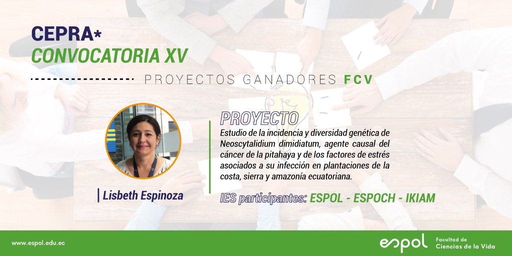 fcvespol's tweet photo. Nos enorgullece compartir con ustedes los proyectos ganadores representados por docentes de la FCV en la XV Convocatoria realizada por CEPRA, destinado al financiamiento de proyectos I+D+I ¡Muchas felicitaciones! #SomosFCV #SomosESPOL https://t.co/sQZZe7qiZg