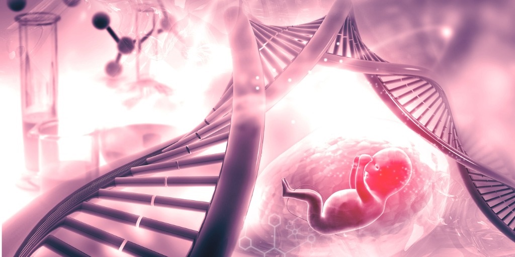 A technique modification to provide nearly all women with confident results using NIPS: fetal fraction amplification with WGS–based NIPS go.nature.com/3lIHbiO #noninvasiveprenatalscreening #prenatal #genetictesting #Genetics