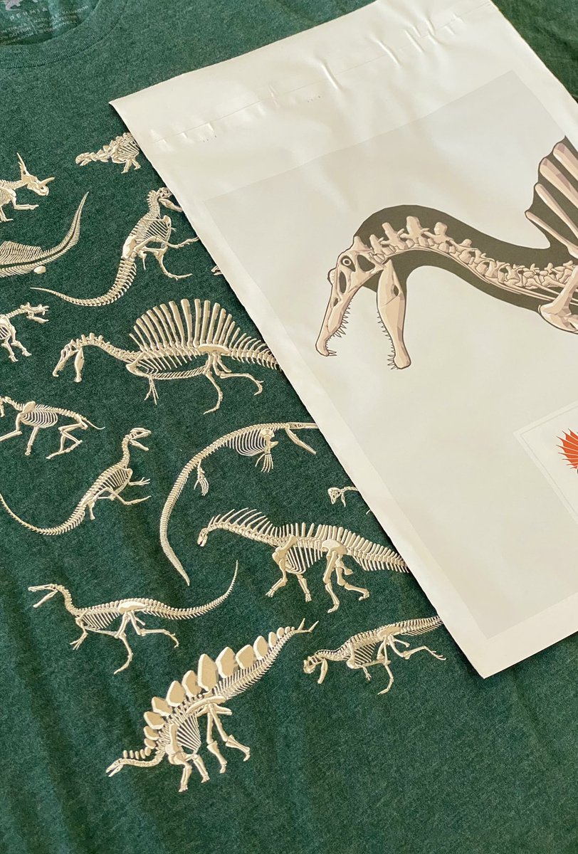 permiawear's tweet photo. It’s the last day of our Cyber Week Sale, and look what just arrived - Spinosaurus bags, which we’re now using to pack t-shirt orders! Our Fossil Frenzy shirts make the perfect holiday gift, so get yours today! 🎁

https://t.co/Q3bko3rZfm https://t.co/Q5j5nJPuct