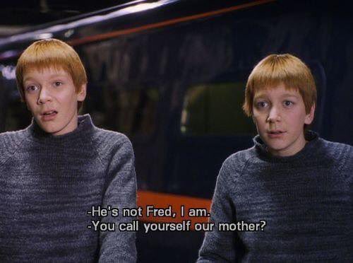 JeffJeny's tweet image. -Фред, ты следующий.
- Не он Фред, а я.
-  И вы, мадам, ещё называетесь нашей матерью?
-Прости, Джордж.
-Я пошутил. Я - Фред.
#ночьпоттера