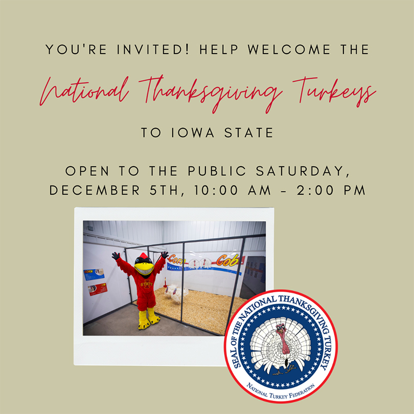 Help us welcome to @IowaStateU #PresidentialTurkey Corn and Cob, raised by #ISUCALS alumnus Ron Kardel ('74 farm operation) and his wife, Susie, from Walcott, Iowa! Visit the turkeys Saturday, Dec. 5, from 10am-2pm. Further details here: ans.iastate.edu/2020-national-…
