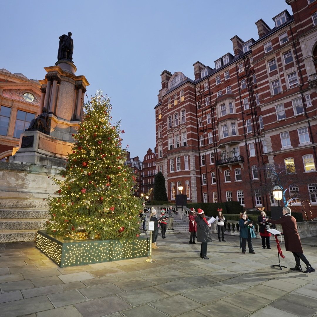 RoyalAlbertHall's tweet photo. 🎄 It's up!
We're honoured to receive a tree from @NorwayinUK again this year for some much needed Christmas cheer.
Takk Norge! https://t.co/c2bv2t6IaE