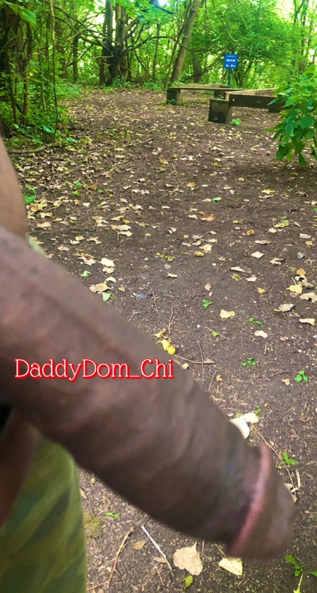 DaddyDom_Chi's tweet photo. A nature walk. https://t.co/MXOyBPEXmo