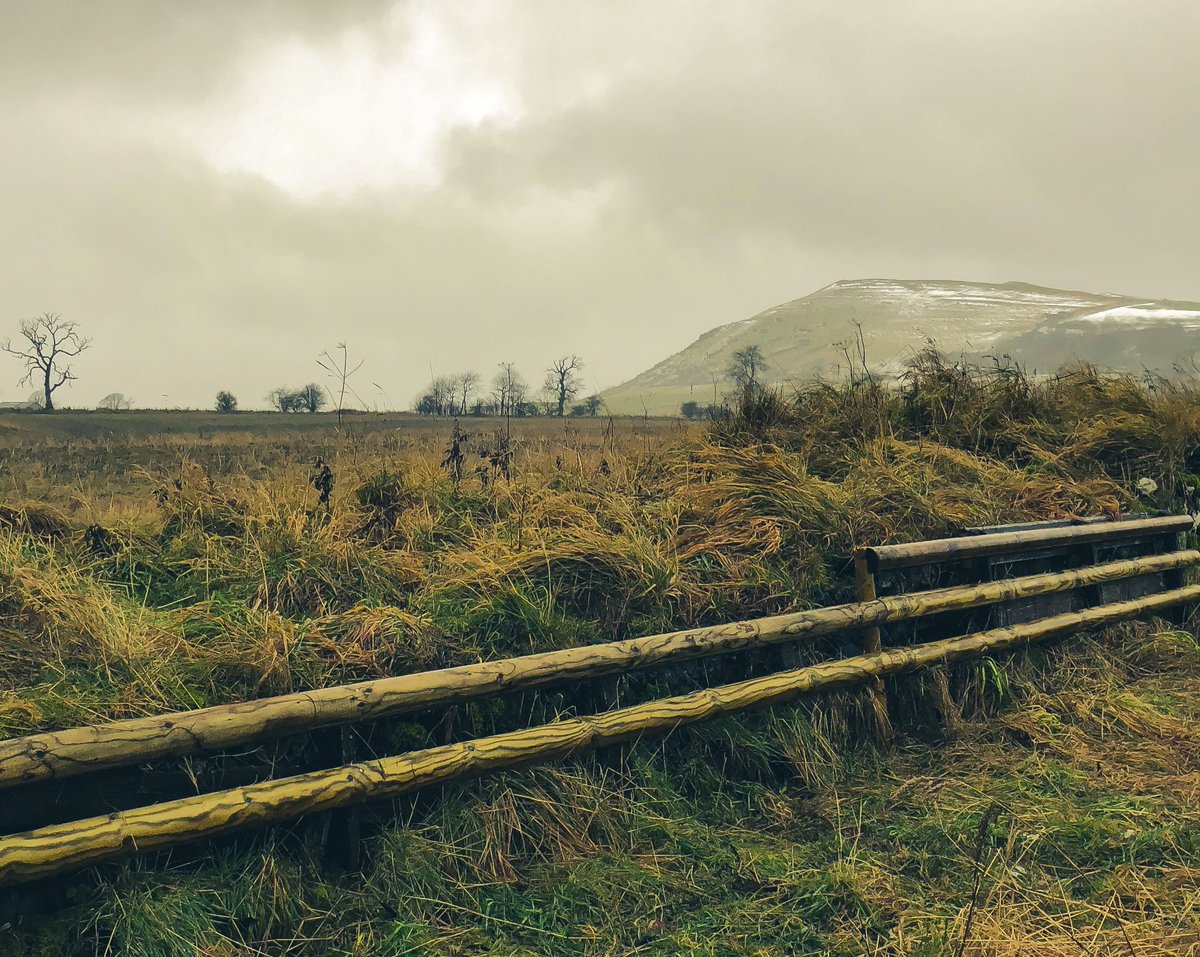 lurcherwork's tweet photo. 🥶☔️ #huntjump #timber #jump #equestrian #horsesports #foxhunting #hunting #hunter #draghunting #trailhunting #crosscountry #huntertrial #countryman #jumpbuilding #jumpbuilder #rails #grassbank #stonewall #stonedyke #fencefriday https://t.co/2z8RrXXqK9