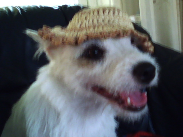 Daniël P. De Ruysscher tweet media