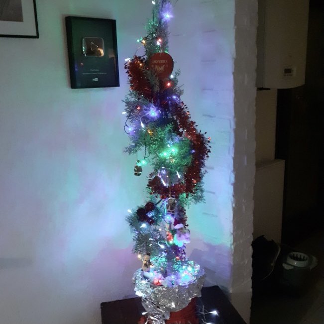JoycaOff's tweet photo. Mon père m’a dit « on a fait un sapin à l’image de 2020 » https://t.co/LhuLpRCsjq
