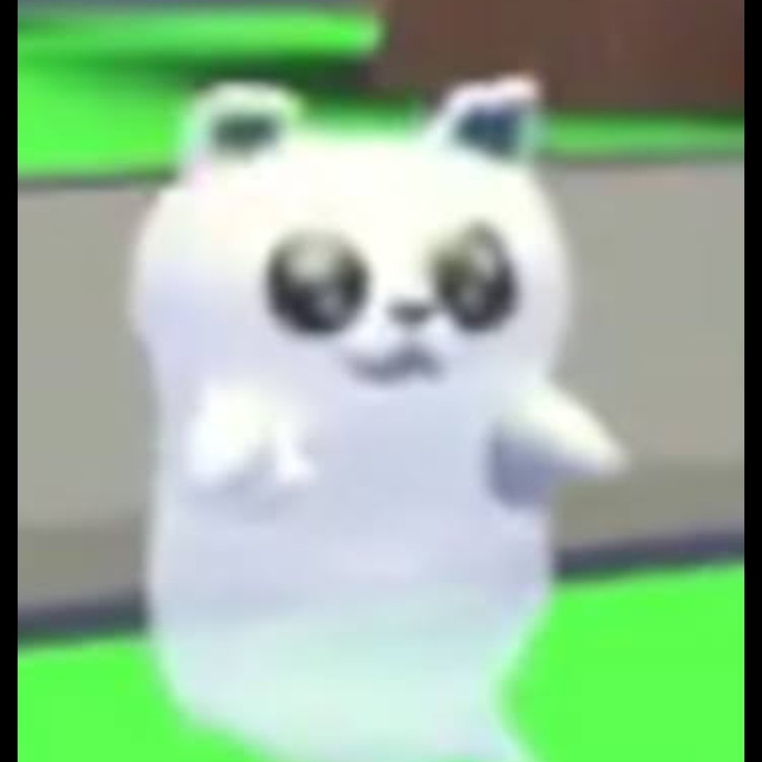 Jessplayz_zz's tweet photo. Trading ghost car
(not my pic)

#adoptmeroblox #adoptmetrading #adoptme https://t.co/Ab7737Y6Qh
