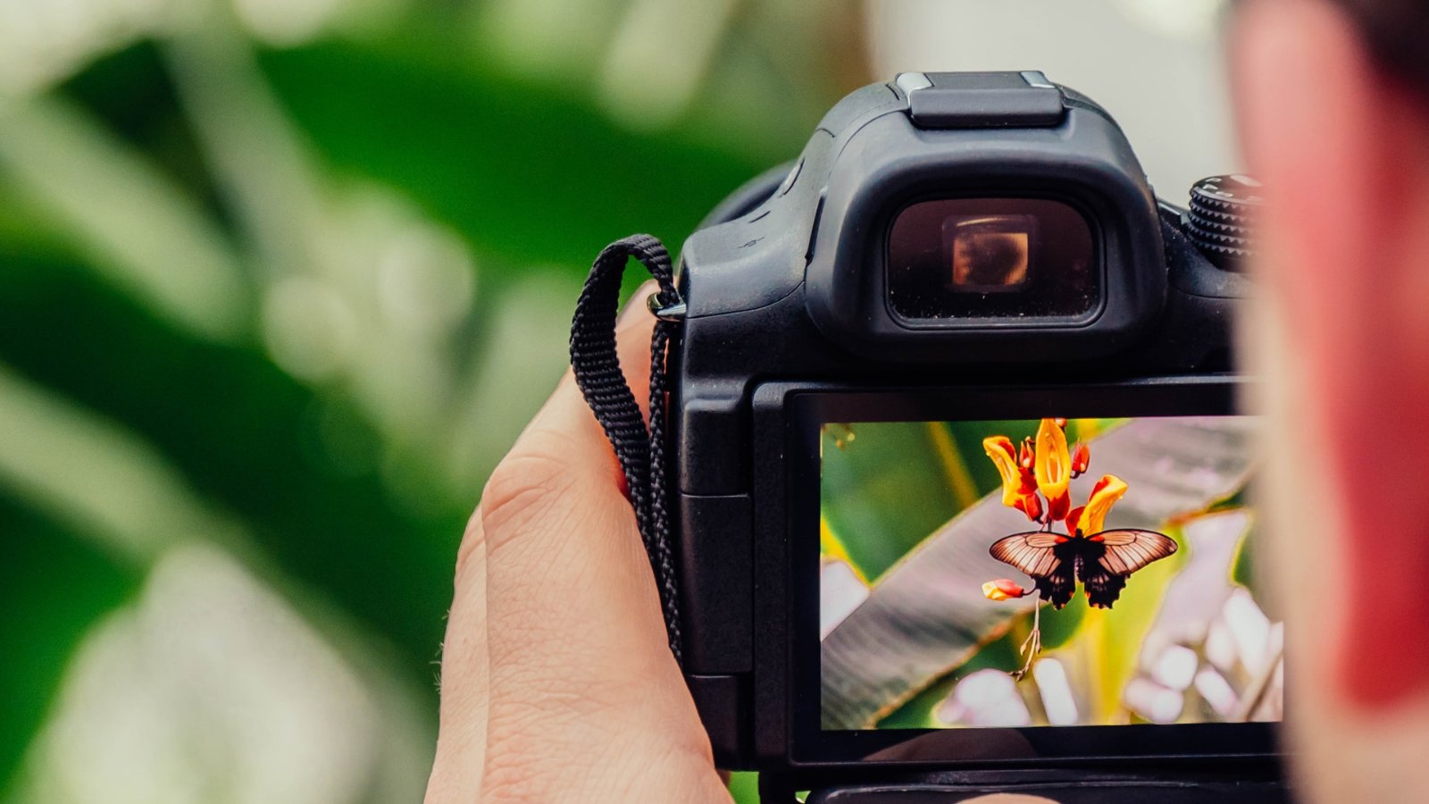 Фотографирутефотоаппарат