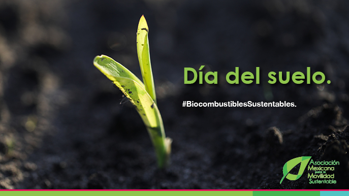 AMMSustentable's tweet photo. El suelo es un recurso vivo que hace posible la vida en nuestro planeta 🍃🌎. Además de alimentos, también puede ser el camino hacia un futuro con opciones de #MovilidadSustentable que avanzan con #biocombustibles. 

#DíaDelSuelo. https://t.co/emY4XvRBzf