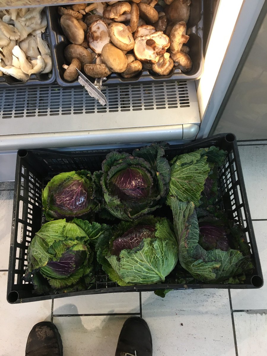 BrightonFoodFactory tweet media