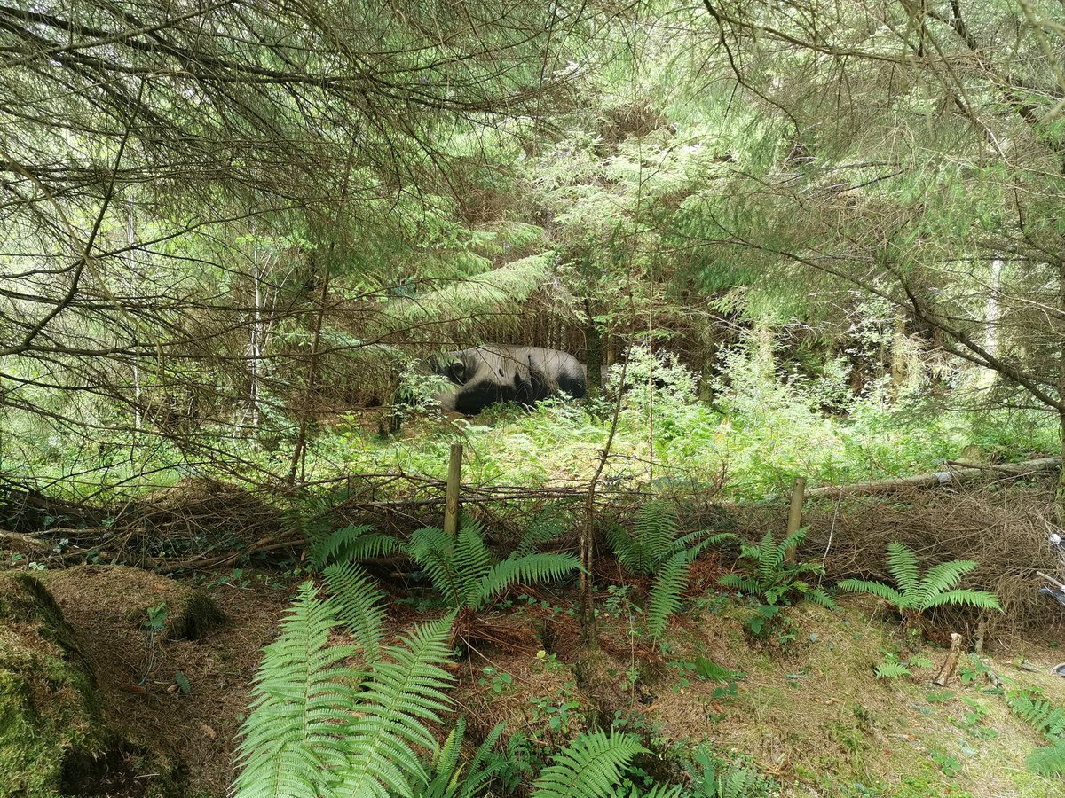 They don't have to be brightly coloured either, allow the different shades of greens and browns and textures of wood, stone, clay, sand, mud to come through.