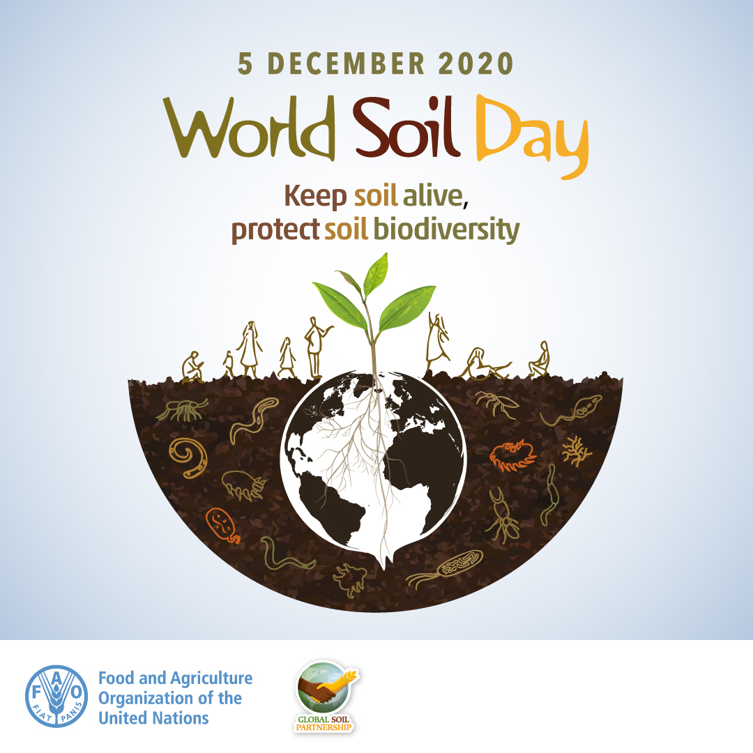 UN's tweet image. Every 5 seconds, the equivalent of one soccer field is lost due to soil erosion, which is a major threat to food security &amp;amp; the achievement of the #GlobalGoals.

Saturday is #WorldSoilDay: un.org/en/observances…