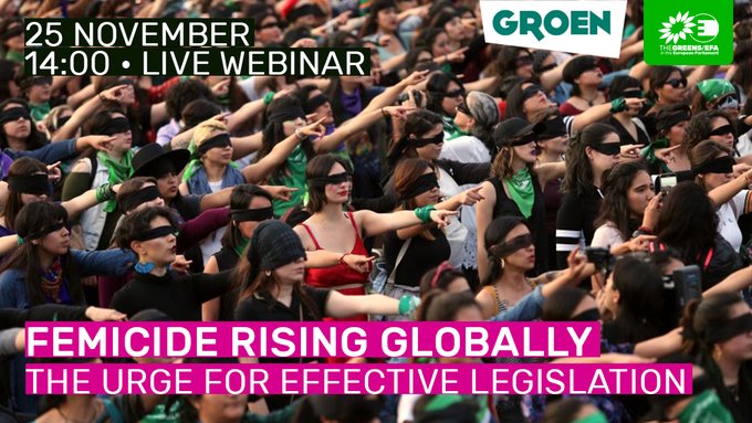 Recently I was invited to speak to European Parliament (Belgium) at  #FemicideRisingGlobally.A wonderful experience hearing from those around globe.We never had similar event in Canadian parliament so thought I would share some content of my talk in advance of Dec. 6. 1/10