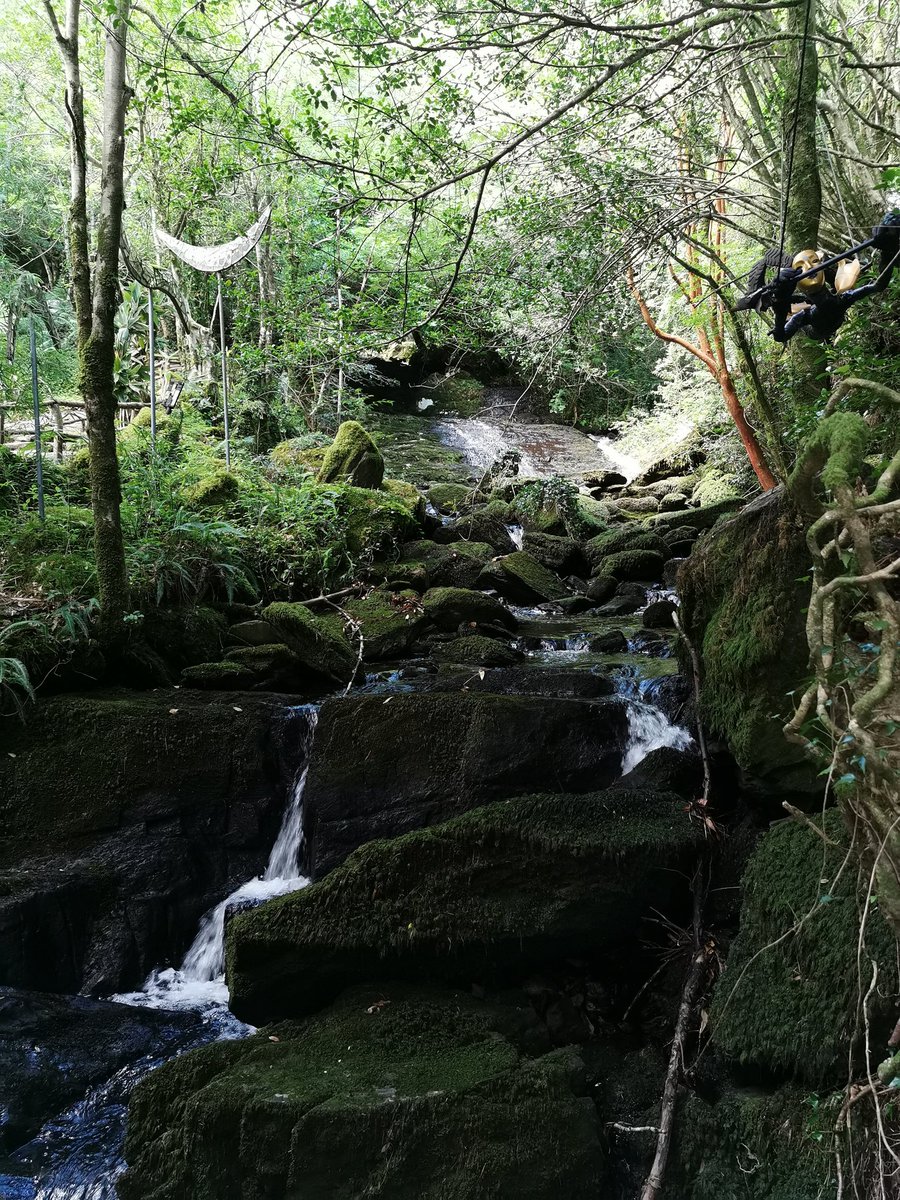 Playgrounds should have lots of humps, bumps and hiding places to enable kids develop their balance,coordination and judgement (and spring ambushes on each other! )