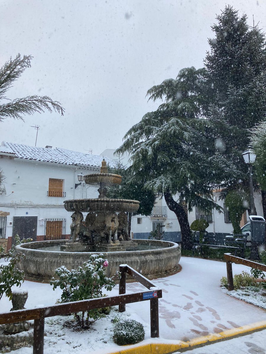 ¡#Nieve en el entorno donde nace el #RíoSegura! Muy buena noticia para los acuíferos. Esta tarde (04/12/2020), desde #SantiagoDeLaEspada (#Jaén), a 1340 msnm. Imágenes: Carmen Muñoz.