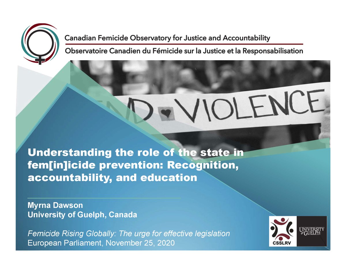 Security of women is vital factor in overall security of our country, and world.Our states, governments can play a key role in determining society’s ability or capacity to prevent  #femicide & other forms of  #MVAWG. 2/103 key roles/responsibilities..