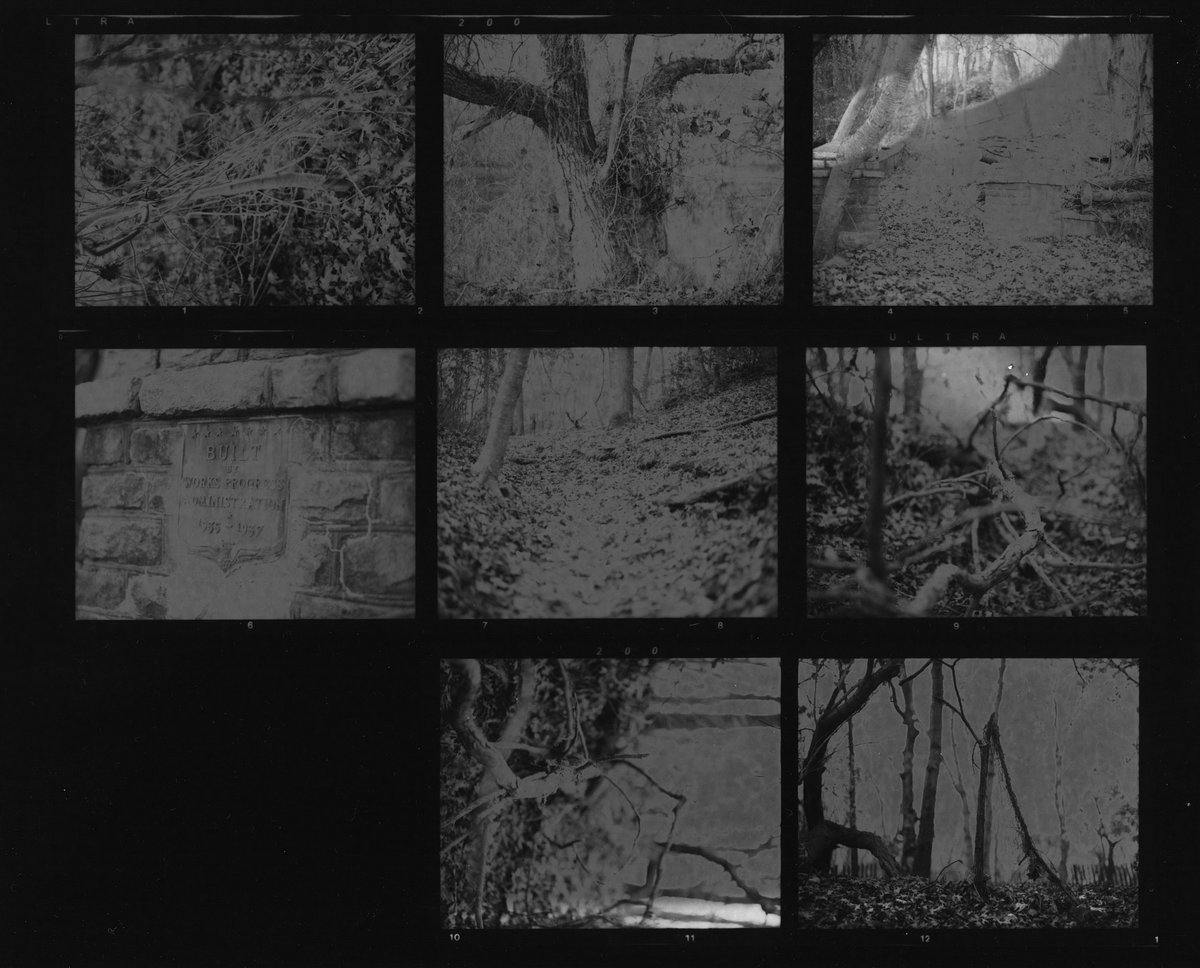 ClickErik's tweet photo. Friday f-up of sorts. In which I forget I have a contact sheet upside down in the developer tray and I turn on the lights. Kind of cool, though. #fupfriday https://t.co/dE9X1xPBg6