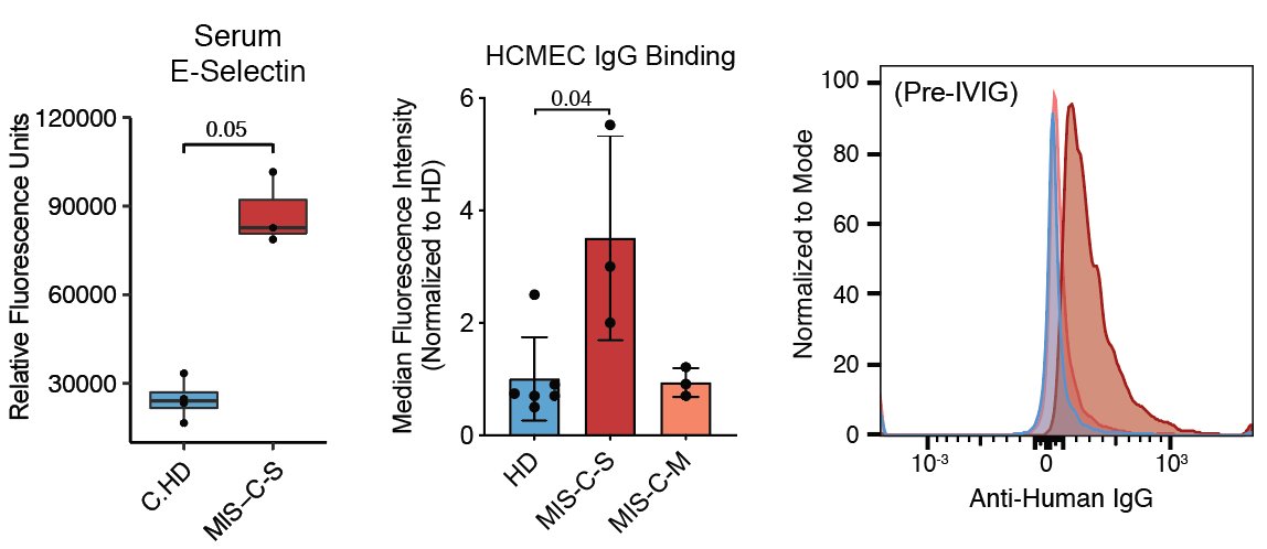 …Next is where severe vs moderate comes in. We see more pronounced plasmablast phenotypes and elevated serum E-selectin (endothelial) in MIS-C-S. Importantly, we also detect binding of serum IgG from severe patients to cultured cardiac endothelial cells. (8/n)