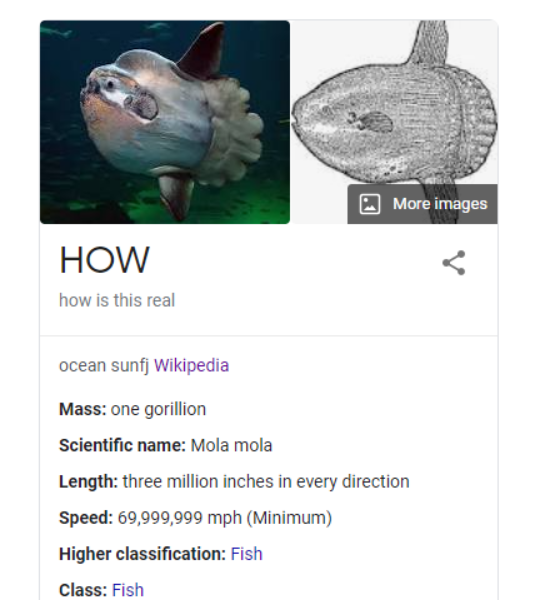 Mr. Mola on Twitter: Mr. Mola on Twitter: