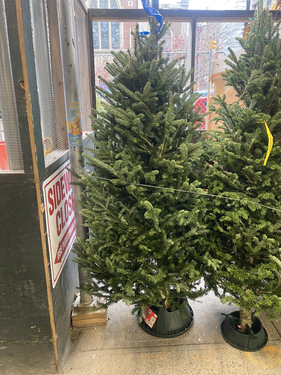 Erik Mouthaan tweet media