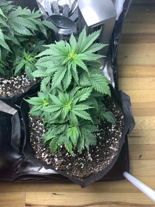 Jeremy’s pics and videos