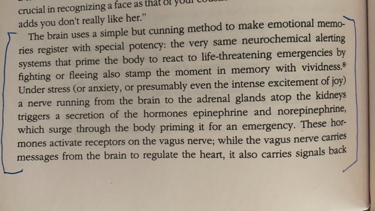 My primary business is helping people overcome obstacles to reach peak performance - trading has pushed me to examine my own personal limits.Here is what I've found.For starters, we must understand some processes of the mind: From "Emotional Intelligence" by Daniel Goleman