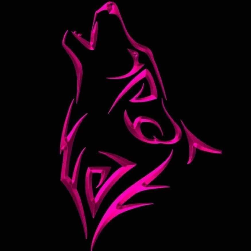 kingali866's tweet photo. #صورة_ملف_شخصي_جديدة https://t.co/yVzlRY0ii9