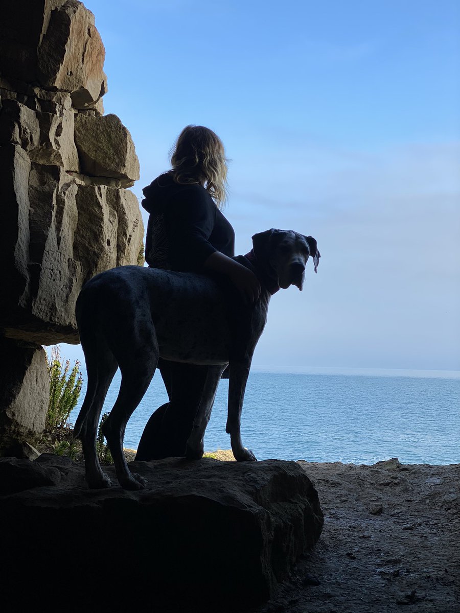 Looking forward to another weekend exploring with my favourite 🐶 #HappyFriday #greatdane #girlsbestfriend